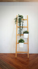 Staircase with empty wall, planting and staircase decoration...
