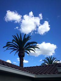 Low angle view of palm trees against blue sky