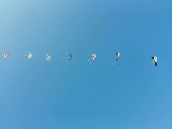 Low angle view of birds flying against clear blue sky