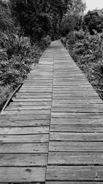 View of wooden boardwalk leading towards trees