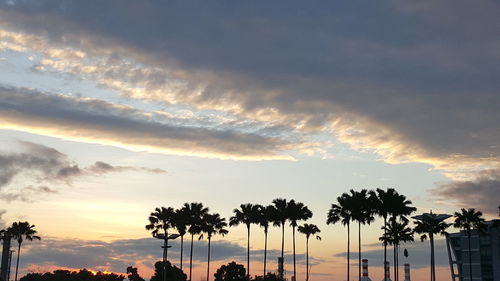 Silhouette of palm trees against cloudy sky