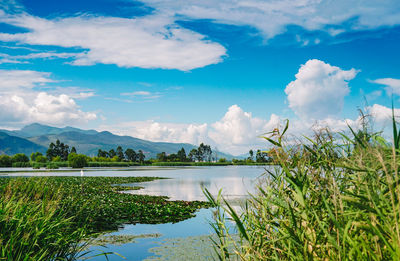 Scenic view of lake against sky