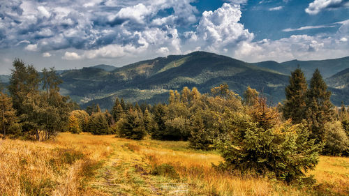 Scenic view of trees and mountains against sky