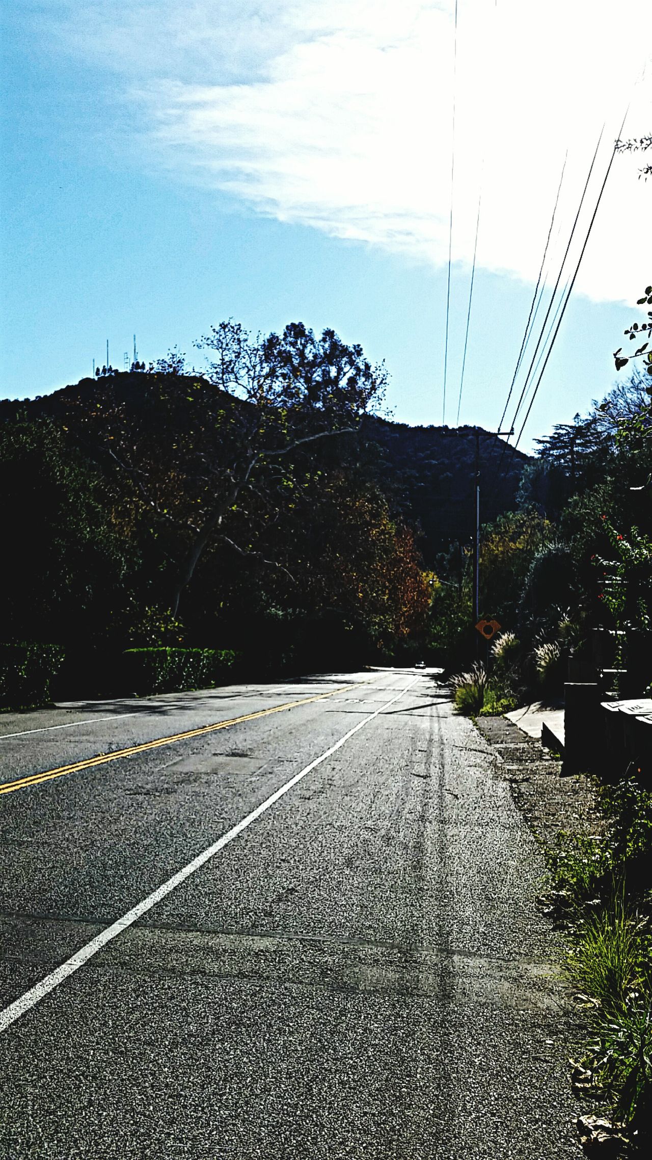 Chevy Chase Canyon