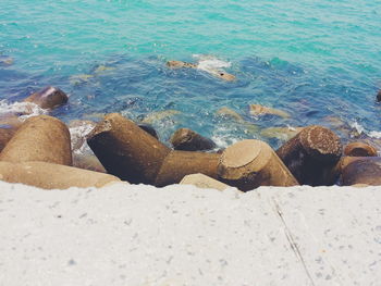 View of sea with trees in background