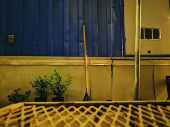 Potted plants on wall of building