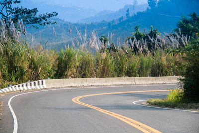 Road by trees against mountains