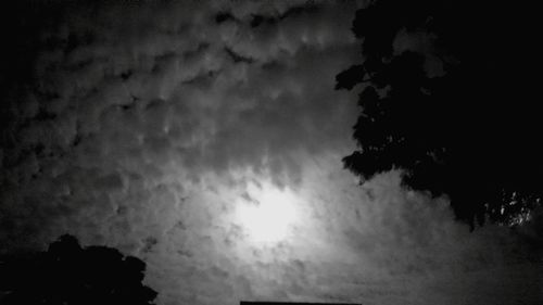 Low angle view of silhouette trees against sky