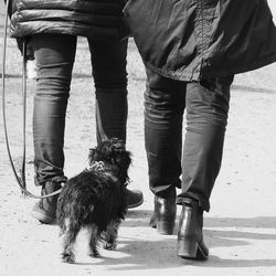 Low section of man standing with dog