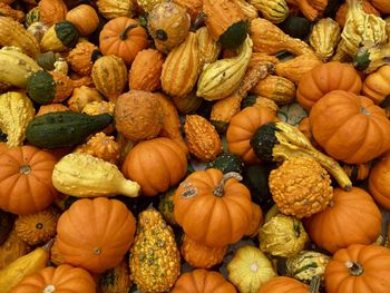 Full frame shot of pumpkins for sale at market stall