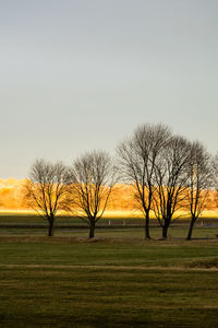 Bare trees on field against sky