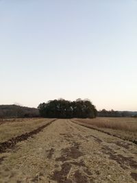 Scenic view of agricultural field against clear sky