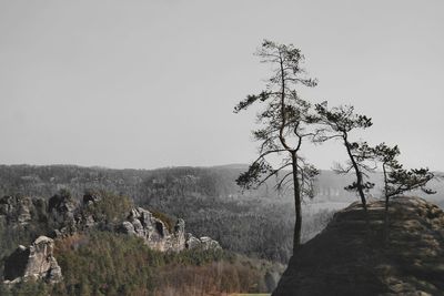 Scenic view of landscape against clear sky