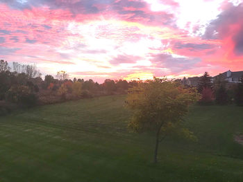 Scenic view of field against sky during sunset