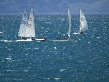 Men sailing sailboats on sea