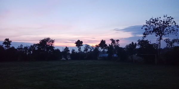 Silhouette trees on field against sky during sunset