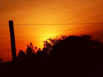 Low angle view of silhouette trees against sky at sunset