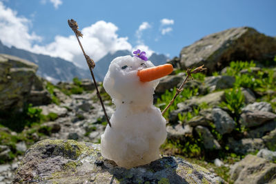 Close-up of snowman on rock