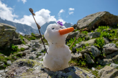 Close-up of toy on rock