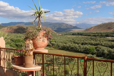 Potted plants on railing against mountains