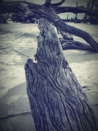 High angle view of driftwood on beach