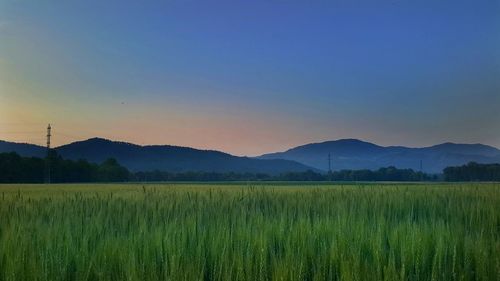 Scenic view of landscape