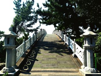 Walkway amidst trees against sky