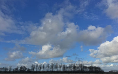 Low angle view of trees against cloudy sky