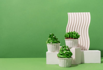 Potted plant on table against green background