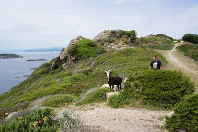 Man standing by goat on mountain
