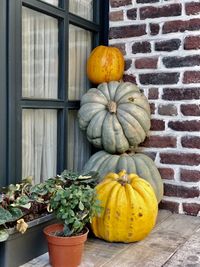 Pumpkins on potted plant against wall