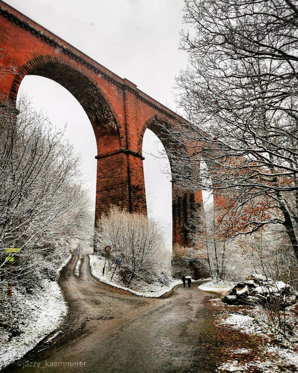 architecture, bridge, arch, built structure, tree, bare tree, winter, nature, plant, cold temperature, no people, snow, transportation, viaduct, day, sky, water, outdoors, arch bridge, history, the past, river, aqueduct, building exterior, branch, low angle view