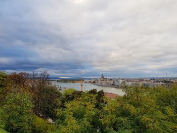 Trees in city against cloudy sky