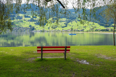 Empty bench by lake against trees