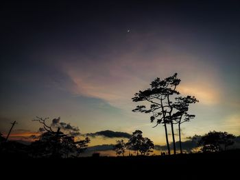 Silhouette trees on field against sky at sunset