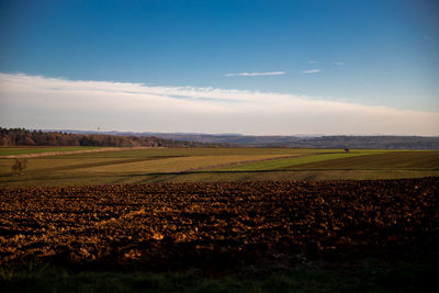 Scenic view of agricultural field against sky