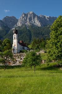 Trees and plants on field by mountains against sky