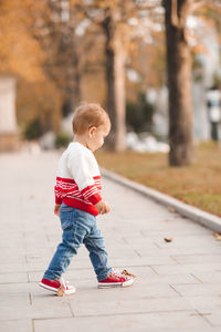 Cute baby girl 1-2 year old wearig casual stylish cloth walk in autumn park 