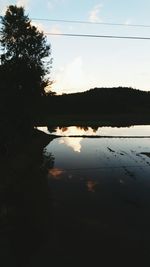 Reflection of trees in water