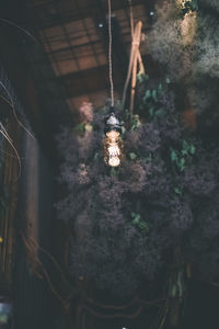 Close-up of illuminated light bulb hanging on wall