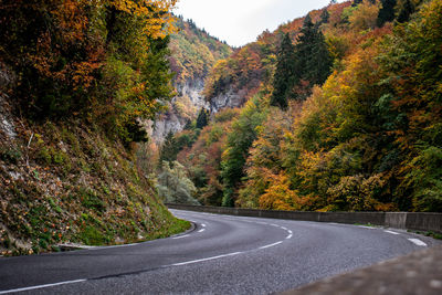 Road amidst trees during autumn