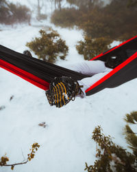 Hand holding umbrella against trees during winter