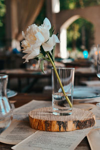 Close-up of potted plant on table