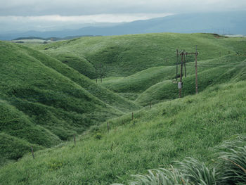 Scenic view of grassy field against sky