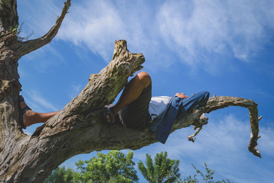 Low angle view of man sitting by tree against sky