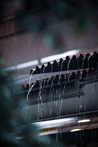 Close-up of wet window