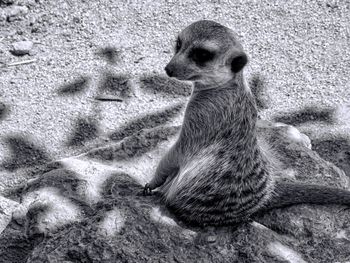 High angle view of woman sitting on sand