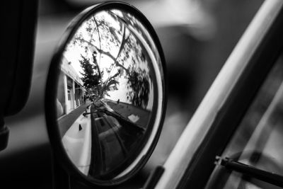 Reflection of trees on side-view mirror