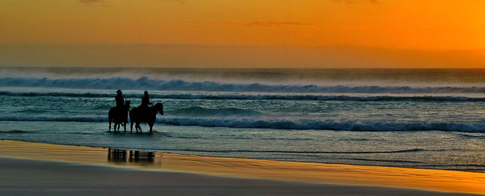 Scenic view of sea at sunset