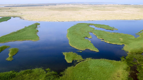 High angle view of leaf in lake